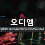 오디엠 뜻
