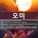 오미 뜻: 평지보다 조금 얕은 곳으로, 늘 물이 괴어 있는 곳., 다섯 가지 맛. 신맛ㆍ쓴맛ㆍ매운맛ㆍ [국어 사전]