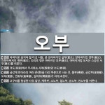 오부 뜻: 아버지로 섬겨야 할 다섯 사람. 곧 친아버지인 실부(實父), 양아버지인 양부(養父), 의붓 [국어 사전]