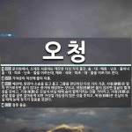 오청 뜻: 문인화에서, 소재로 사용하는 깨끗한 다섯 가지 물건. 솔ㆍ대ㆍ매화ㆍ난초ㆍ돌이나 솔ㆍ대ㆍ파초 [국어 사전]