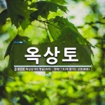 옥상토 뜻: 육십갑자의 병술(丙戌)ㆍ정해(丁亥)에 붙이는 납음(納音).