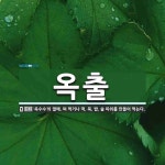 옥출 뜻: ‘옥수수’의 열매. 쪄 먹거나 떡, 묵, 밥, 술 따위를 만들어 먹는다.