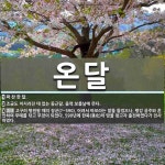 온달 뜻: 꽉 찬 한 달., 조금도 이지러진 데 없는 둥근달. 음력 보름날에 뜬다., 고구려 평원왕 [국어 사전] 온달 뜻: 꽉 찬 한 달., 조금도 이지러진... 