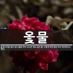 옻물 뜻: 옻나무를 잘라 넣고 물을 부어 24시간 정도 달인 물. 이렇게 하면 옻의 독이 제거된다고 옻물 뜻: 옻나무를 잘라 넣고 물을 부어 24시간... 