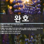 완호 뜻