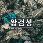 왕검성 뜻: 고조선의 도읍지.