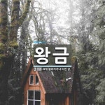 왕금 뜻: 크게 갈라지거나 터진 금.