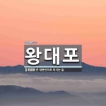 왕대포 뜻