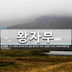 왕자부 뜻: 고려 시대에, 왕자에 관한 일을 맡아보던 관아. 충렬왕 34년(1308)에 제왕부를 고친 왕자부 뜻: 고려 시대에, 왕자에 관한 일을... 