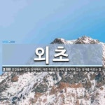 외초 뜻: 장겹침증이 있는 창자에서, 다른 부분의 창자에 들어박혀 있는 창자를 이르는 말.