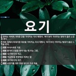 요기 뜻: 말하는 이에게 가까운 곳을 가리키는 지시 대명사. ‘여기’보다 가리키는 범위가 좁은 느낌을 [국어 사전]