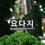 요다지 뜻: 요런 정도로. 또는 요렇게까지.