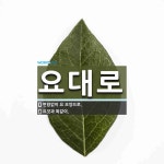 요대로 뜻