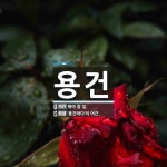 용건 뜻: 해야 할 일., ‘용건하다’의 어근. [국어 사전]