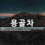 용골차 뜻