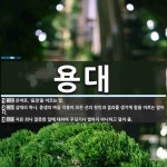 용대 뜻: 은어로, ‘음경’을 이르는 말., 삼대의 하나. 중생의 마음 작용이 모든 선의 원인과 결과 [국어 사전]