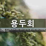 용두회 뜻: 고려 시대에, 문과에 장원한 사람끼리 갖던 모임. 새로 장원한 사람이 잔치를 베풀어 선배를