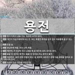 용전 뜻: 편지 따위의 글을 쓰는, 일정한 규격의 종이., 개인이 자질구레하게 쓰는 돈. 또는 특별한 [국어 사전]
