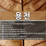 용천 뜻: 나병, 간질 따위의 몹쓸 병., 꼴사납게 마구 법석을 떨거나 분별없이 행동함을 속되게 이르 [국어 사전]