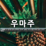 우마주 뜻: 소나 말처럼 달리는 종이라는 뜻으로, 말하는 이가 자기를 낮추어 이르는 일인칭 대명사.