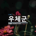 우체군 뜻