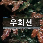 우회선 뜻