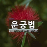 운궁법 뜻: 바이올린 따위의 현악기에서 활을 다루는 방법.
