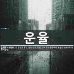 운율 뜻: 시문(詩文)의 음성적 형식. 음의 강약, 장단, 고저 또는 동음이나 유음의 반복으로 이루어