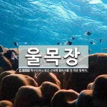 울목장 뜻: 마구간이나 헛간 근처에 울타리를 친 작은 방목지.