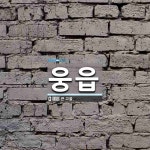 웅읍 뜻: 큰 고을.