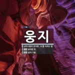 웅지 뜻: 심마니들의 은어로, ‘소’를 이르는 말., 웅대한 뜻., 곰의 기름. [국어 사전]