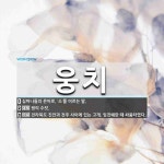 웅치 뜻: 심마니들의 은어로, ‘소’를 이르는 말., 꿩의 수컷., 전라북도 진안과 전주 사이에 있는 [국어 사전]