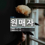 원매자 뜻