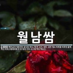 월남쌈 뜻: 베트남의 대표적인 음식의 하나. 채 썬 고기, 새우, 갖은 채소 따위를 따뜻한 물에 적신 월남쌈 뜻: 베트남의 대표적인 음식의 하나. 채...