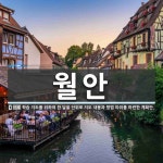 월안 뜻: 학습 지도를 위하여 한 달을 단위로 지도 내용과 방법 따위를 마련한 계획안.