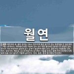 월연 뜻: 제빗과의 새. 몸의 길이는 18cm 정도이며 등은 윤기가 있는 푸른빛을 띤 검은색이고 배는