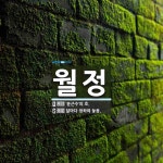 월정 뜻: ‘윤근수’의 호., 달마다 정하여 놓음. [국어 사전]