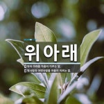 위아래 뜻: 위와 아래를 아울러 이르는 말., 윗사람과 아랫사람을 아울러 이르는 말. [국어 사전]