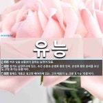 유능 뜻: 어떤 일을 남들보다 잘하는 능력이 있음., 경기도 남양주시에 있는, 조선 순종과 순명효 황 [국어 사전]