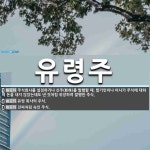 유령주 뜻: 주식회사를 설정하거나 신주(新株)를 발행할 때, 발기인이나 이사가 주식에 대하여 돈을 내지 [국어 사전]