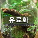 유료화 뜻: 무료로 제공되는 것에 대하여 요금을 내게 됨. 또는 그렇게 함.