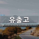 유출고 뜻