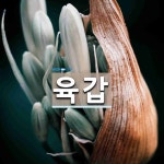 육갑 뜻: 천간(天干)의 갑(甲)ㆍ을(乙)ㆍ병(丙)ㆍ정(丁)ㆍ무(戊)ㆍ기(己)ㆍ경(庚)ㆍ신(辛)ㆍ임( [국어 사전]