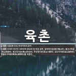 육촌 뜻: 사촌(四寸)의 자녀끼리의 촌수., 신라의 전신인 사로국의 중심이 된 여섯 촌락. 알천양산촌 [국어 사전]