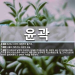 윤곽서교동지점 | 윤곽 뜻