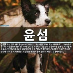 윤섬 뜻