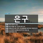 은구 뜻