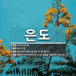은도 뜻: 은으로 만든 칼., 희고 긴 칼., 빛이 희고 모양이 칼 같은 조그만 물고기., 달빛에 비 [국어 사전]