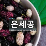 은세공 뜻: 은붙이에 손질을 하여 꾸미고 만들어 내는 일.