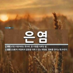 은염 뜻: 은빛 수염이라는 뜻으로, 흰 수염을 이르는 말., 은(銀)이 포함되어 결정을 이루고 있는 [국어 사전] 은염 뜻: 은빛 수염이라는...